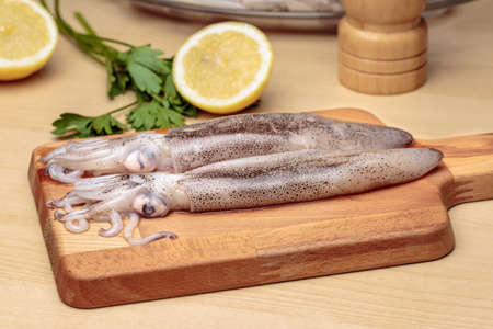 Cooking squids. Raw cuttlefishes over a wooden cutting board in front of parsley and sliced lemon, at kitchenの写真素材