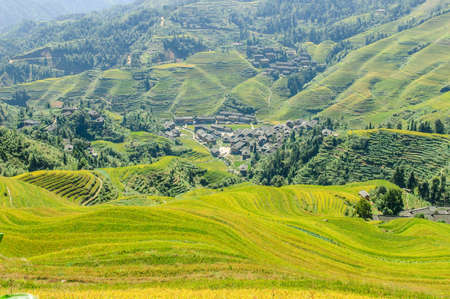 terraces
