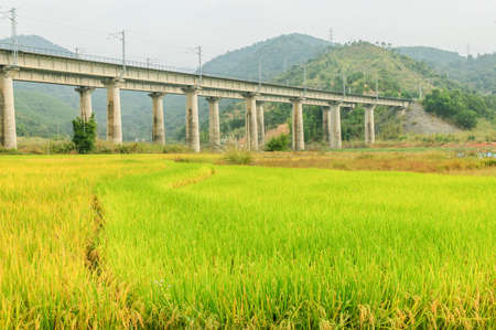 Railway bridgeの写真素材