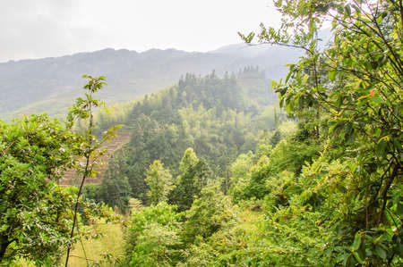 Longji terrace has a history of 700 yearsの写真素材