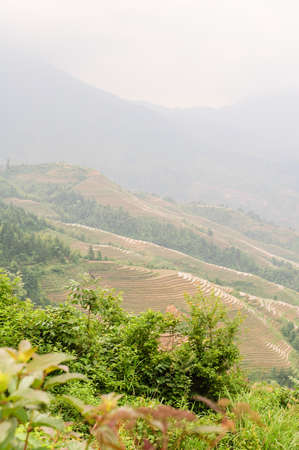 Longji terrace has a history of 700 yearsの写真素材