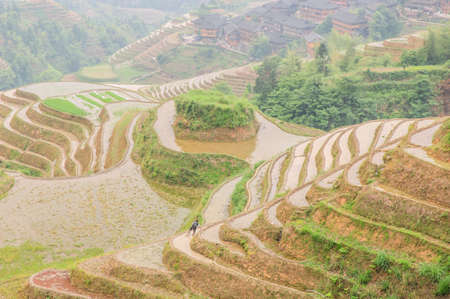Longji terrace has a history of 700 yearsの写真素材