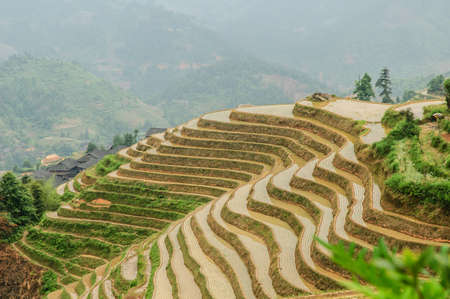 Longji terrace has a history of 700 yearsの写真素材