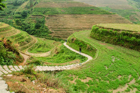 Longji terrace has a history of 700 yearsの写真素材