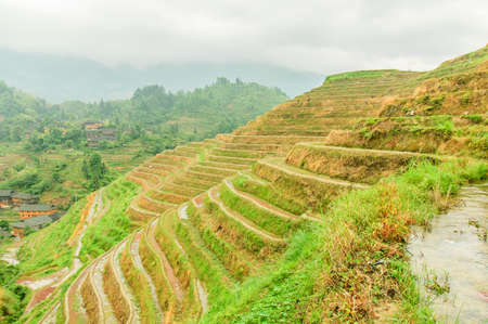 Longji terrace has a history of 700 yearsの写真素材