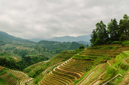 Longji terrace has a history of 700 yearsの写真素材