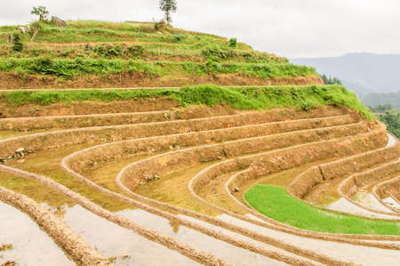 Longji terrace has a history of 700 yearsの写真素材