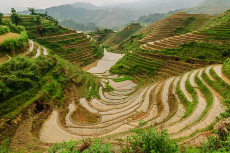 Longji terrace has a history of 700 yearsの写真素材