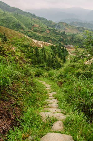 Longji terrace has a history of 700 years
