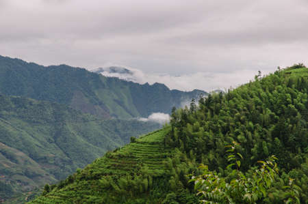 Terraced Fields rain, clouds floating in the mountainsの写真素材