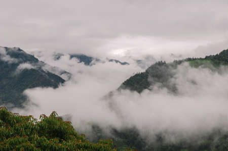 Terraced Fields rain, clouds floating in the mountainsの写真素材