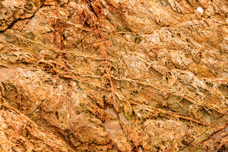 The seaside lava containing large amounts of red iron