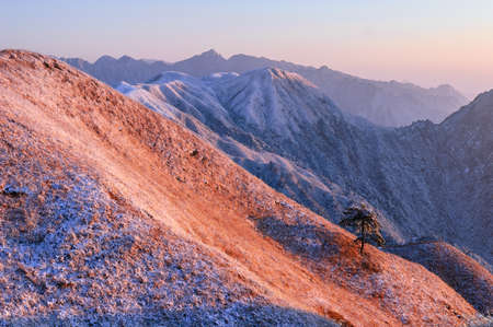 In winter, snow Wugongshan full, very cold.の写真素材