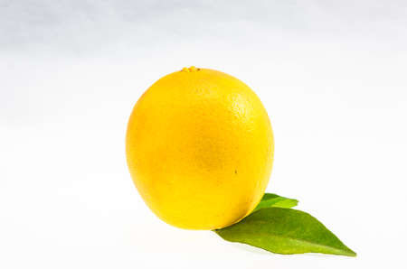 Ripe lemon with leafの写真素材