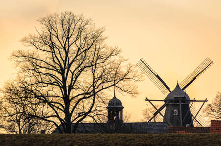 A tree and a windmill at sunset in Copenhagen Denmarkの写真素材