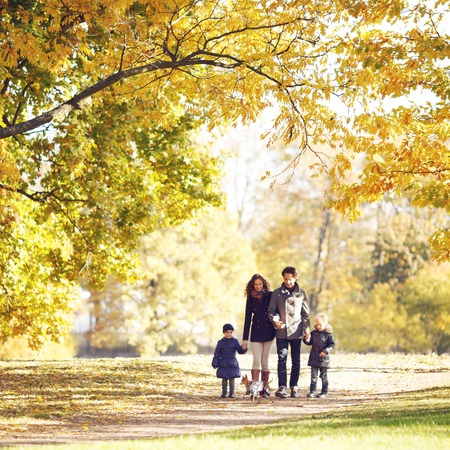 Portrait of family with children and dog walking in autumn parkの写真素材