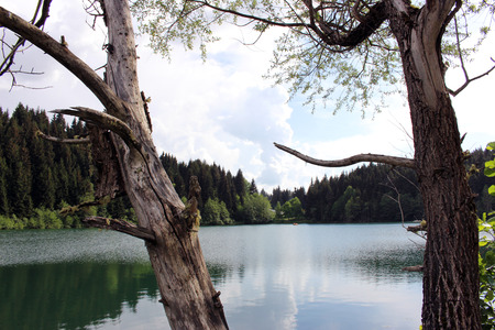 lacquerの写真素材