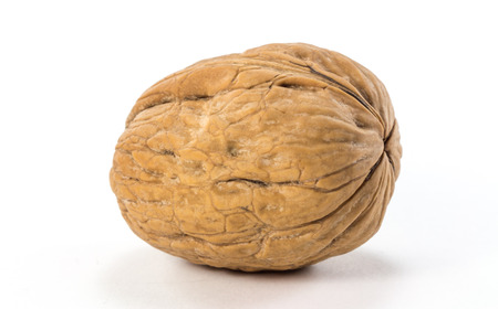 Walnuts on a white background