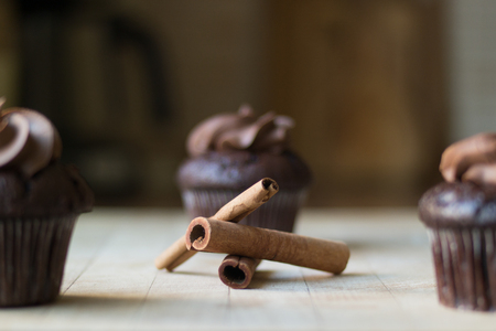 Chocolate cupcake with cinnamon sticks.