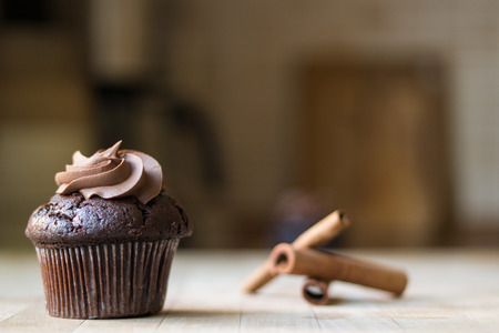 Chocolate cupcake with cinnamon sticks.の写真素材