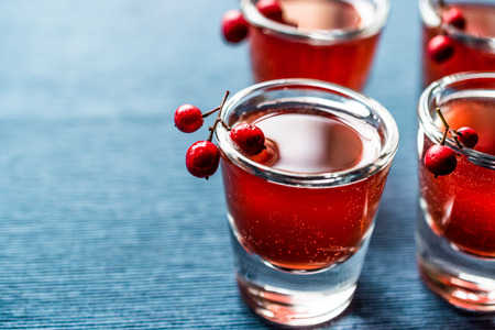 Cranberry cocktail shot with vodka. Beverage Concept.の写真素材