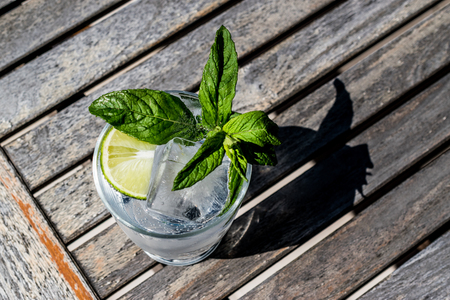 Vodka or Gin Tonic Cocktail with lime, mint leaves and ice at the garden (natural light). Beverage...