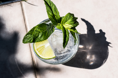 Vodka or Gin Tonic Cocktail with lime, mint leaves and ice at the garden (natural light). Beverage Concept.の写真素材