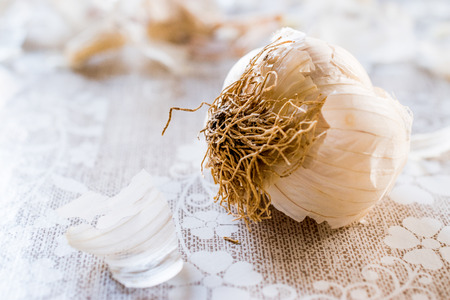 Garlic Cloves and Bulb on white Tablecloth. Organic Food.の写真素材