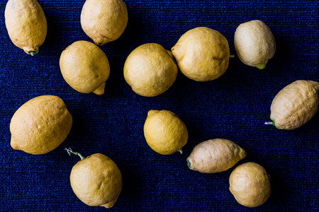 Organic Lemons on blue surface. Organic Food Concept.の写真素材