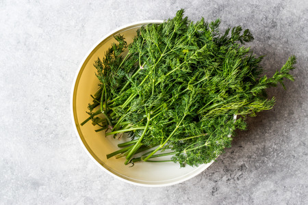 Bowl of Washed Fresh Dill. Organic Food.の写真素材