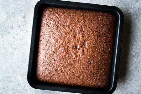 Freshly Baked Chocolate Sponge Cake  in Square Mold. Homemade Dessert.
