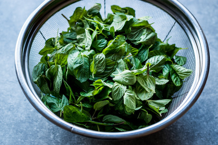 Fresh Mint Leaves in Stainless Steel Metal Colander. Organic Herbal Food.の写真素材