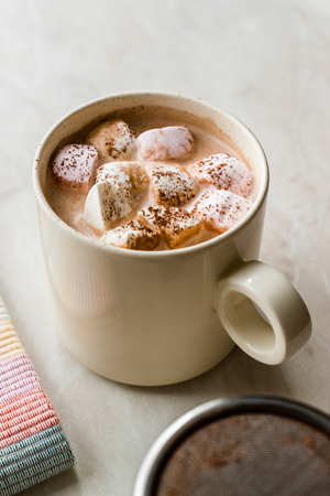 Healthy Homemade Milk Babyccino with Marshmallows and Cocoa / Cinnamon Powder for Kids.の写真素材