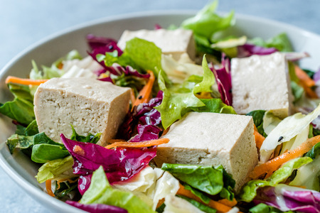 Organic Vegan Asian Tofu Salad with Red Cabbage, Lettuce and Carrot Slices. Organic Food.の写真素材