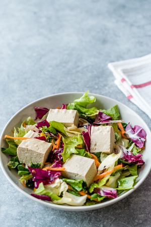 Organic Vegan Asian Tofu Salad with Red Cabbage, Lettuce and Carrot Slices. Organic Food.の写真素材