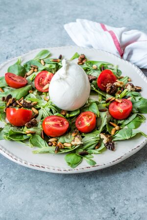 Burrata Cheese with Purslane Salad, Cherry Tomatoes, Pine Nuts and Roasted Walnuts. Organic Food.の写真素材