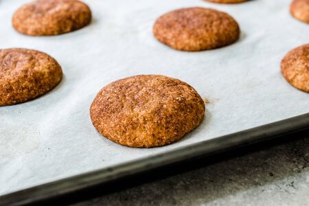 Cinnamon Cookies Snickerdoodle on Baking Paper with Oven Tray. Organic Snacks.