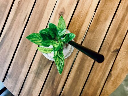 Iced Tea with mint Leaves and Black Straw in Mason Jar / Foamy Style. Organic Cold Beverage.