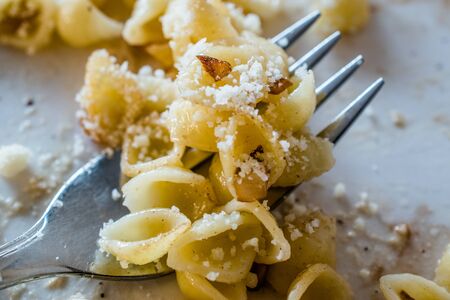 Macro Close Up View of Pasta Shell Conchiglie / Conchiglioni on Fork with Parmesan Cheese and...