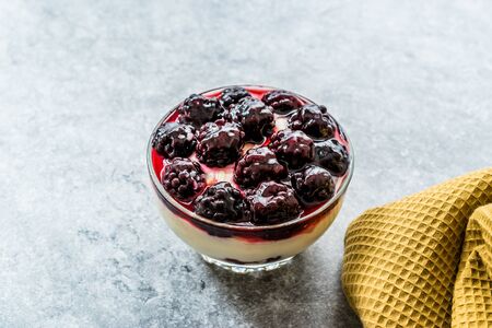 Kefir Parfait with Blackberry and Yogurt / Yoghurt. Organic Healthy Fresh Dessert.