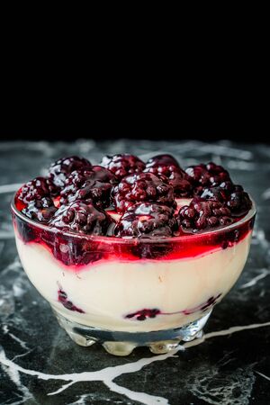 Kefir Parfait with Blackberry and Yogurt / Yoghurt. Organic Healthy Fresh Dessert.の写真素材