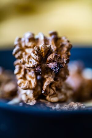 Walnut Kernels and Whole walnuts in Porcelain Bowl.  Organic Food.の写真素材