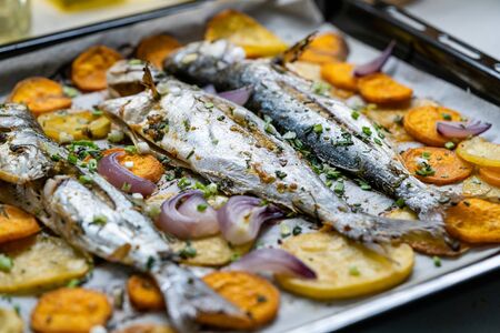 Baked Fish Bluefish with Sweet Potatoes on Oven Tray with Baking Paper Sheet / Lufer. Seafood.の写真素材
