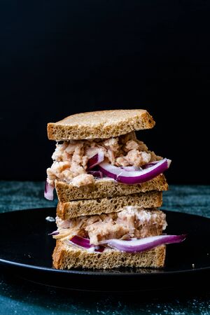 Tuna Fish Sandwich with Red Onions, Mayonnaise and Multigrain Light Toast Bread. Healthy Organic...
