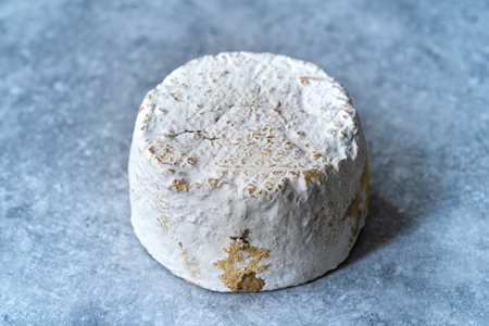 Whole Delicate Moldy Cheese. Gourmet Food Ready to Eat and Serve. Organic Product.の写真素材
