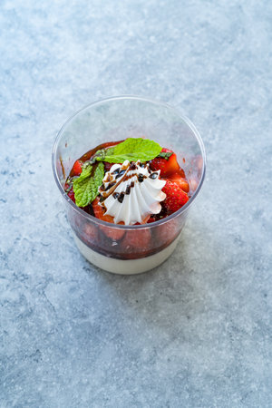Delicious Italian Dessert Panna Cotta with Strawerry Sauce, Meringue and Fresh Mint Leaves.の写真素材