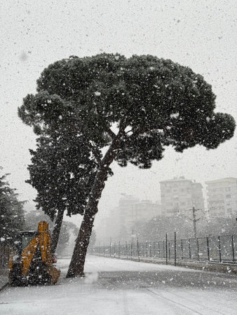 Tree in snow at middle of the empty street next to railwayの写真素材
