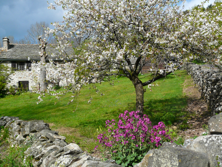 saint julien chapteuil,haute loire,franceのeditorial素材