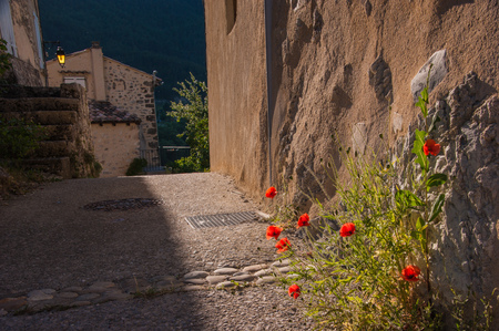 saint benois en dioos,drome,franceの写真素材