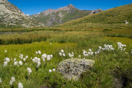 Lake Verney,Petit Saint Bernard,Val D'aoste,Italyのeditorial素材
